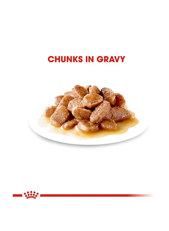 رويال كانين طعام القطط الرطب بنكهة المرق للعناية بالشعر والبشرة - 85 غرام - Image 2